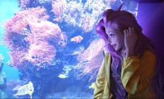 崩坏，星穹铁道深渊挑战，上下半区角色分配 循环输出手法｜高分攻略